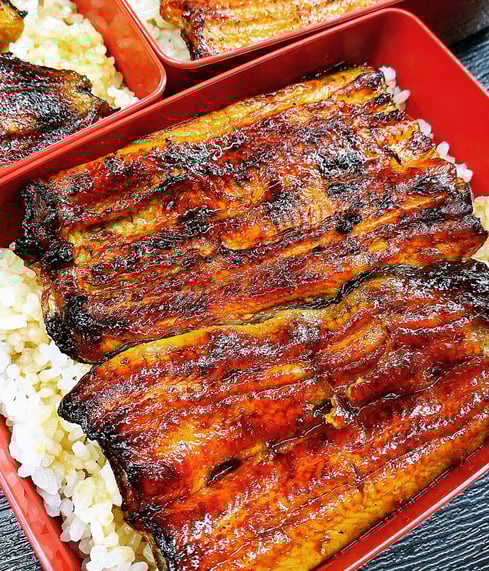 unagi