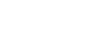 13年
